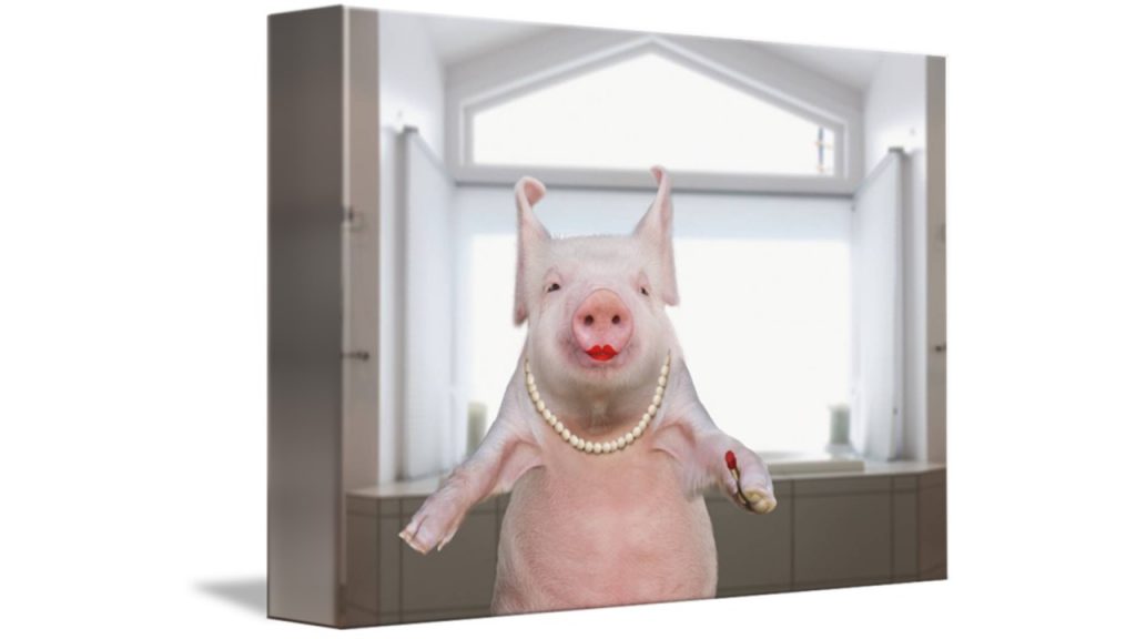 Pig with red lipstick on