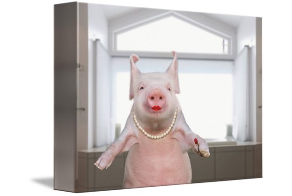 Pig with red lipstick on