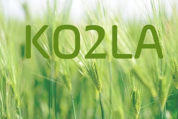 KO2LA name with green wheat background