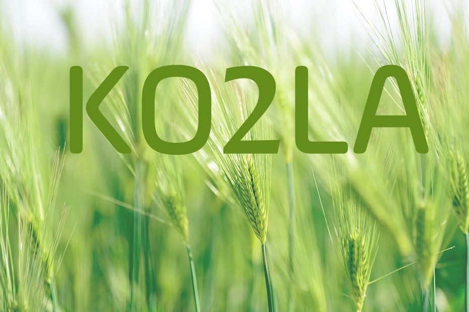 KO2LA name with green wheat background